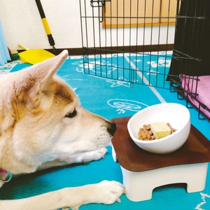 gDIrHB0PnloF8yMWJ7xU.jpg?w=940&h=940