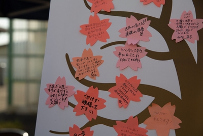 gDbSlcrwTK7WxmuLDdo8.jpg?w=940&h=940