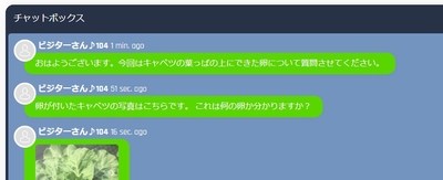 Q&Aチャットイメージ1