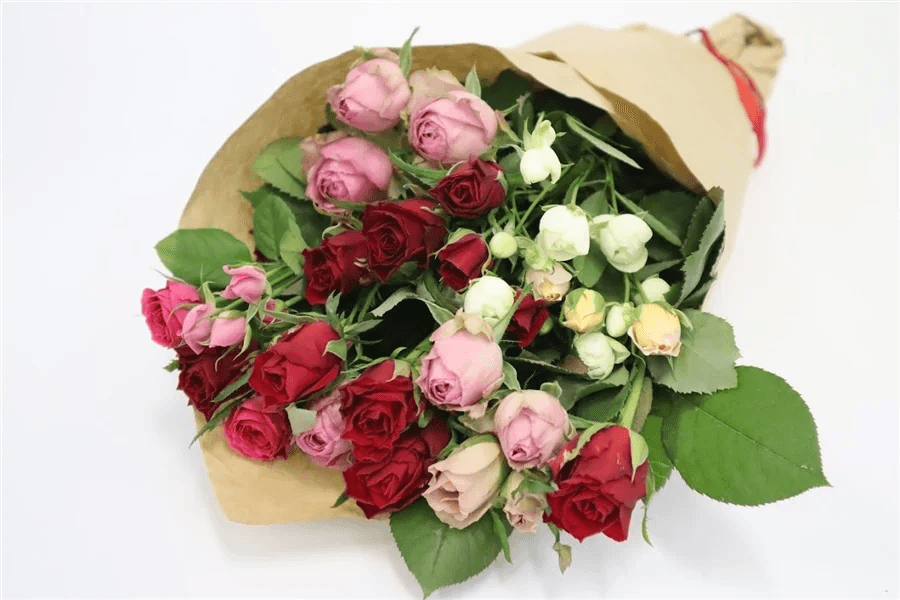 〇バラ20本おまかせミックス URL:https://www.ja-town.com/shop/g/g4401-4401-bara03-mix/