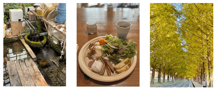 (左)針江地区に残る昔ながらの水の循環システム 「かばた」を見学(中)鮒寿司に代表される醗酵文化が根付く近江地方でいただ<醗酵料理(右)日本屈指のマキノ ・ メタセコイヤ並木