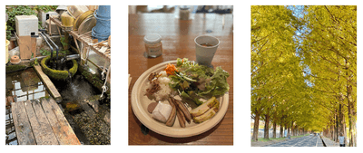 （左）針江地区に残る昔ながらの水の循環システム 「かばた」を見学（中）鮒寿司に代表される醗酵文化が根付く近江地方でいただ＜醗酵料理（右）日本屈指のマキノ ・ メタセコイヤ並木