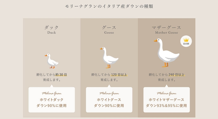 イタリア産ダウンは3種類(ダック・グース・マザーグース)