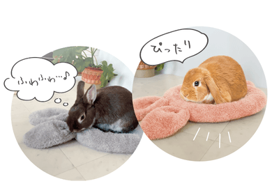 gFMbjVwjkgvLzmOWIoWI.png?w=940&h=940