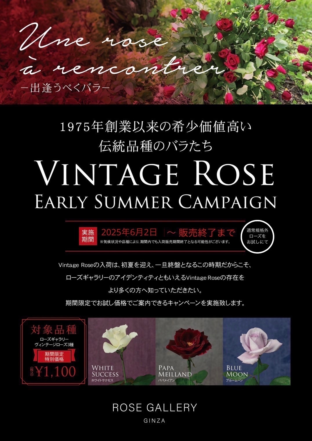 こちらのPOP掲示店舗がキャンペーン対象店舗となります。