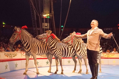 gGBIYVHbvA6Fy8APwG4s.jpg?w=940&h=940