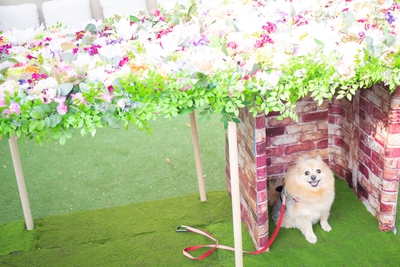 gGEgR49WBx1hOhYbmGil.jpg?w=940&h=940