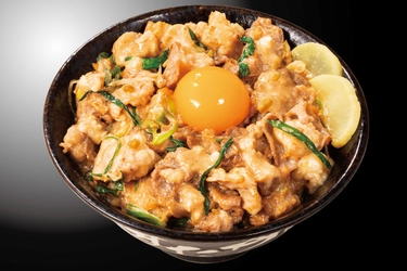伝説のすた丼屋でしか味わえない究極のすたみな肉丼登場！ 『無双とんこつ牛ホルすた丼』を1/10(月)全国発売！ 濃厚とんこつ醤油ダレとすた丼比ニンニク8倍の Wパンチがやみつきになる一杯！