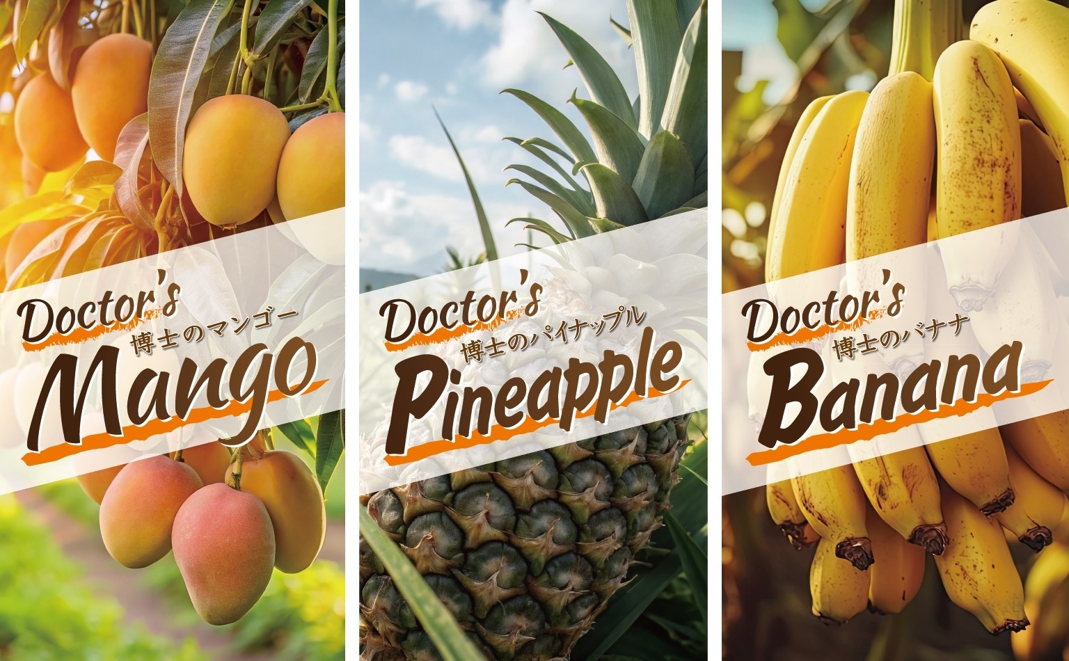 博士のマンゴー・博士のパイナップル・博士のバナナ