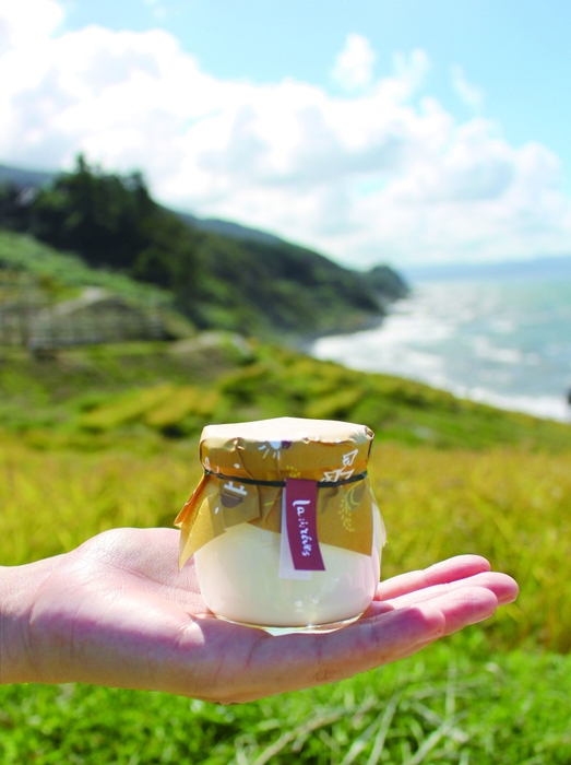 輪島プリン千枚田のお米 8