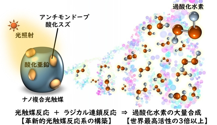 本研究の概要図