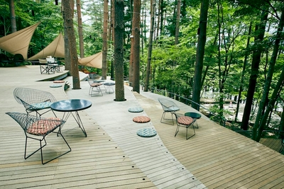 gIjj9EaKZERpdS2ewph2.jpg?w=940&h=940