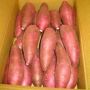 gJbkJjtnm39gS3Lm0FQR.jpeg?w=940&h=940