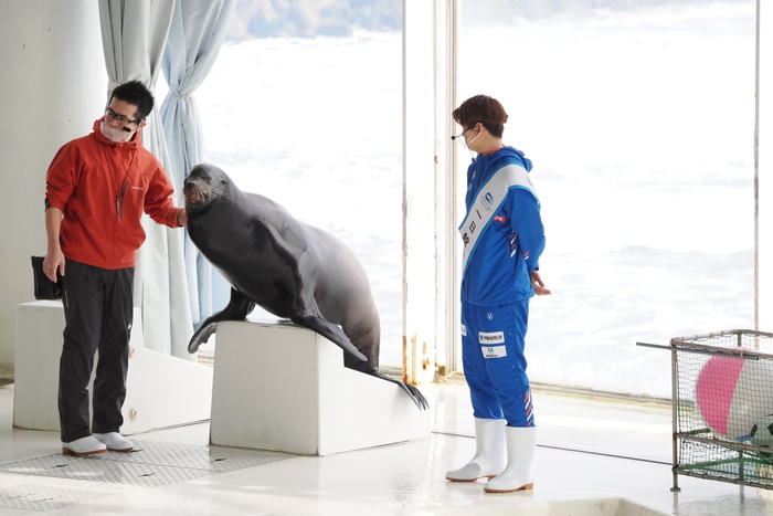 アシカとコラボ!※昨年の様子