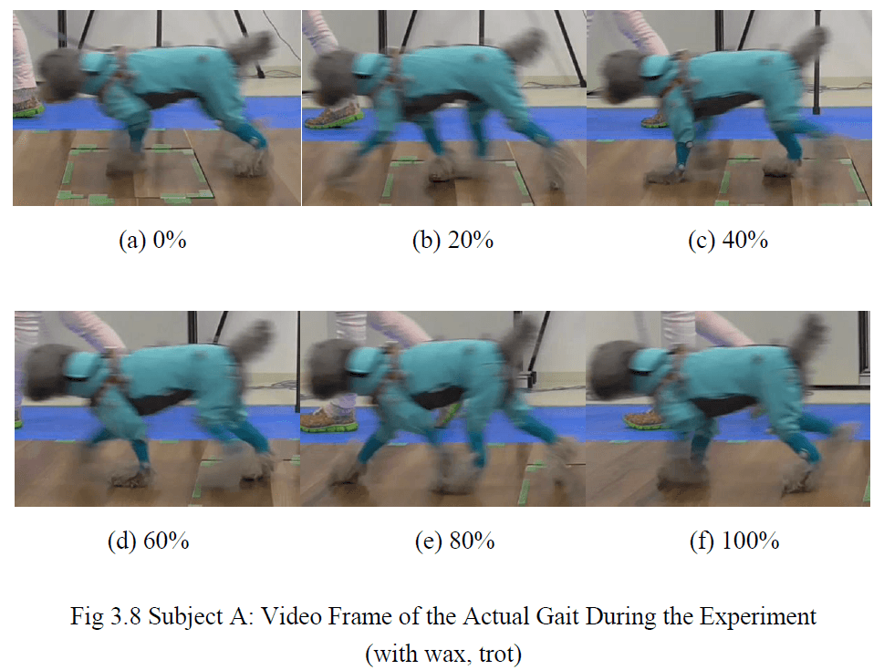 実験中の歩行(ビデオフレーム)