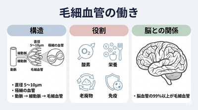 gMLc1FvKnCjMbEztBAn8.png?w=940&h=940