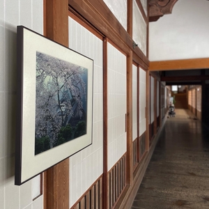 gN1wLSmfPSIdxzjCycv6.jpg?w=940&h=940