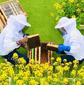 gNMNzBS9hHTRElpikfFZ.jpeg?w=940&h=940