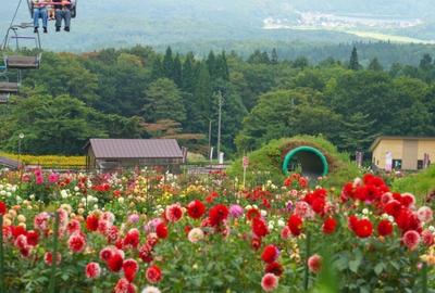 パノラマリフトの下り線では野尻湖を眺めることができます。