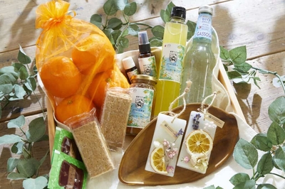 gOPHAi42PzagbdmdcpeV.jpg?w=940&h=940