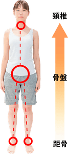 gOnA1qOCxXu4AFH2xh0K.png?w=940&h=940