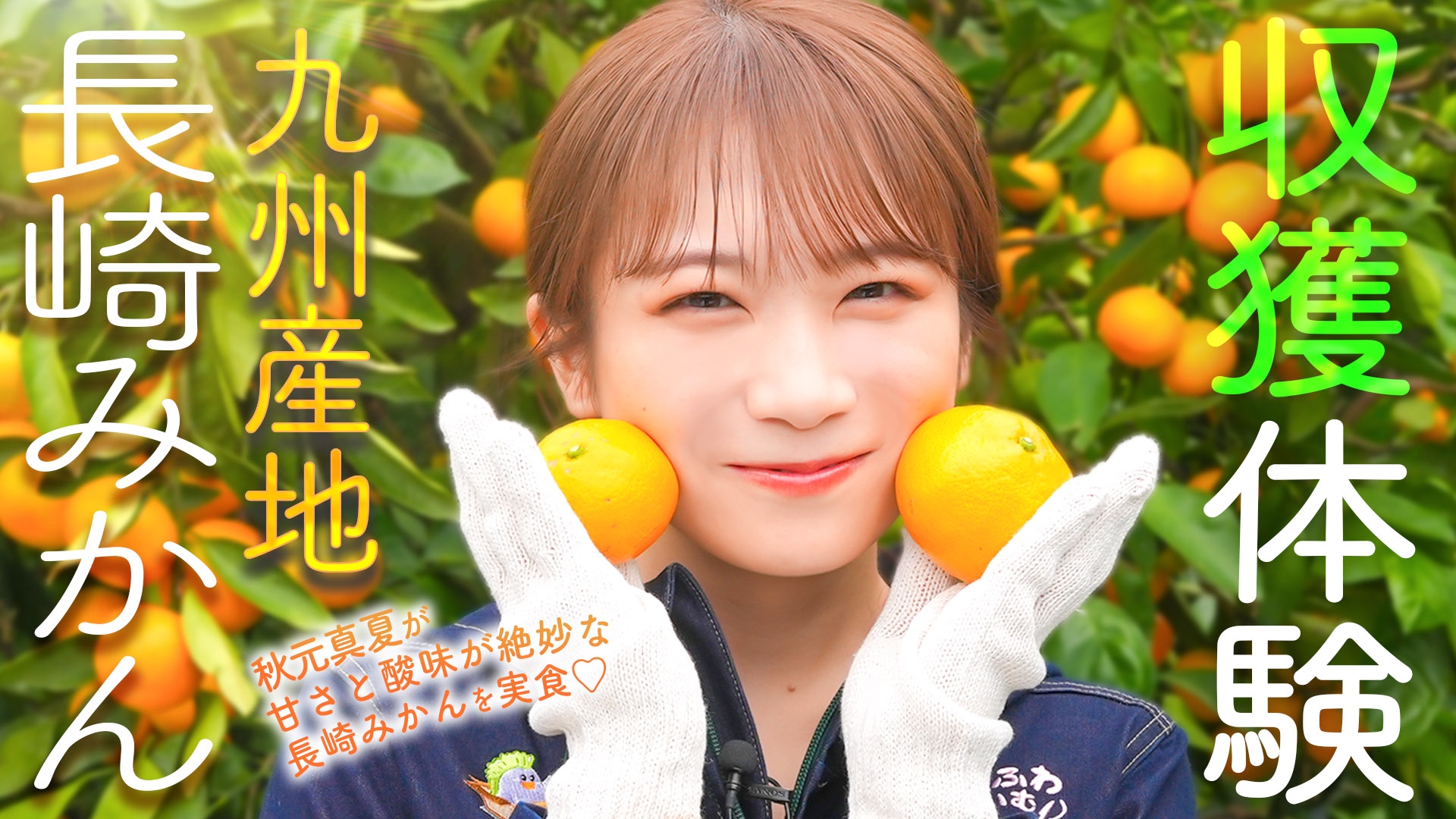 秋元真夏が長崎県を訪問 味の濃さが魅力的！「長崎みかん」の収穫を