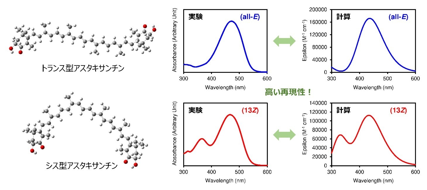 図4: トランス型とシス型アスタキサンチンの化学構造と、実験と計算による吸収スペクトル