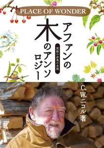 gQOi9TIteuWxucs91tk5.jpg?w=940&h=940