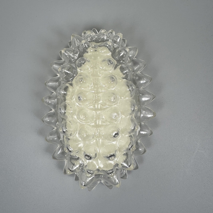 〈DIGBUG ジュエルキャタピラー【蓄光】_3〉