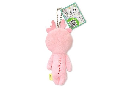 「ご当地ゆきお イワシカちゃんマスコット」背面