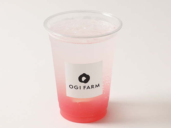 岩下の新生姜ピンクジンジャー