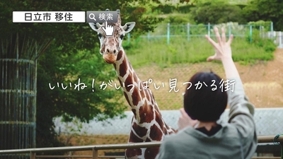 gTtfbZ9SsnLsmrDdqRGd.jpg?w=940&h=940