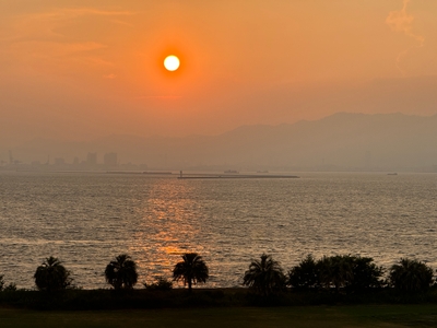 gTzPnjQCxlJoTo64pWkz.jpg?w=940&h=940