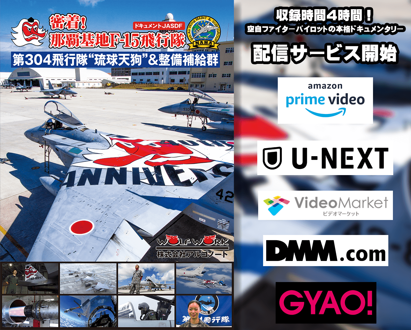 映画ではない、本物の日本のファイターパイロットの世界を体験 航空