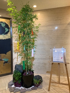 gV1LhtL8HPsMnYCqaCHf.jpeg?w=940&h=940