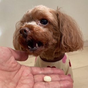 gVhjEcqmAK9fbonzIwGR.jpg?w=940&h=940