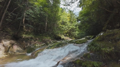 gWBUJTt2vZiNIivzWFBZ.jpg?w=940&h=940