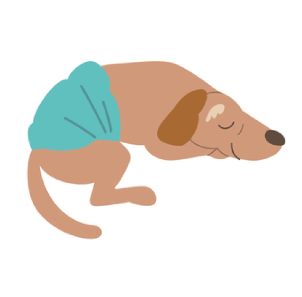 高齢ペットにPETCARE