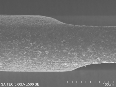 gWW76Z2S7TNxsy5zs5MV.jpg?w=940&h=940