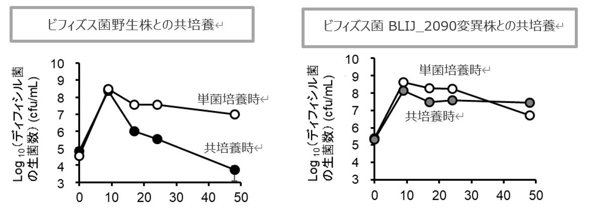 (図) In vivoにおけるGalRhaとビフィズス菌によるディフィシル菌の生育抑制