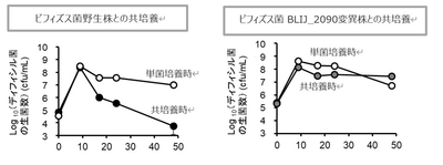 （図） In vivoにおけるGalRhaとビフィズス菌によるディフィシル菌の生育抑制