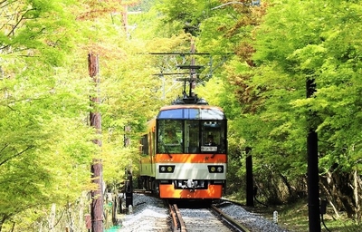 gWzcL4Tyj8TfiaO5DfN9.jpg?w=940&h=940