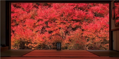 gYccxwxfTPiRoDYWcOvU.jpg?w=940&h=940