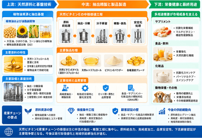 図．  天然ビタミンEの産業チェーン・サプライチェーン分析