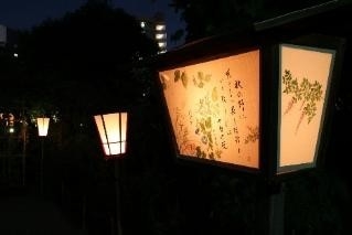 絵行灯とぼんぼり（昨年の様子）