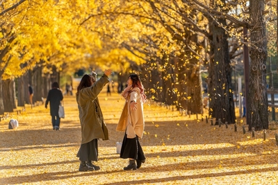 gdZ85nlFRMVFcuAiv4TJ.jpeg?w=940&h=940