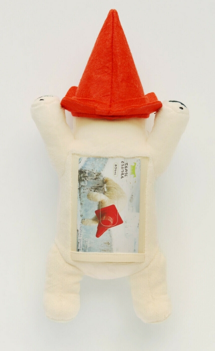 パスケースカードイン