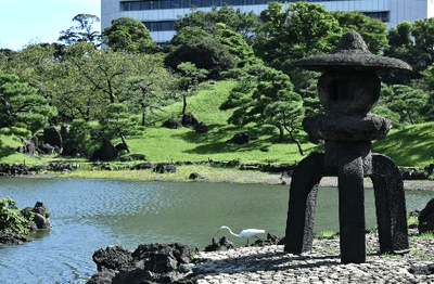 gg3FUzIYr44obNRe4ZUl.png?w=940&h=940