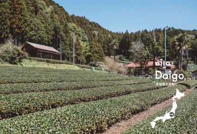 gh6lYqkTmkfPDMIMOLCs.jpg?w=940&h=940