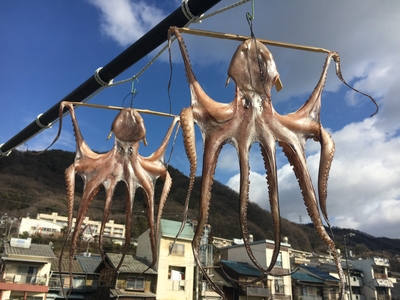 ghvyI5YDtFUxT6P0HOGD.jpg?w=940&h=940